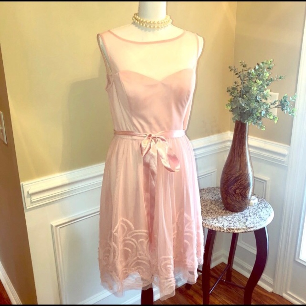 Blush Pink Sheer Cocktail
Dress PERFECT FOR EASTER 🐣